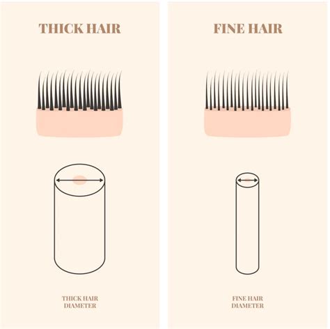 hair thickness measurement|hair thickness chart.